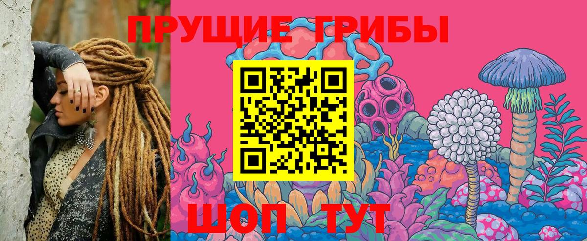 Галлюциногенные грибы MAGIC MUSHROOMS  Вход с VPN  Псилоцибиновые грибы MAGIC MUSHROOMS  Нарткала 