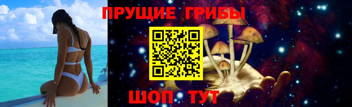Галлюциногенные грибы прущие грибы Нарткала